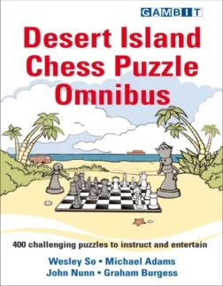 σκακιστικά προβλήματα | σκακιστικά puzzles